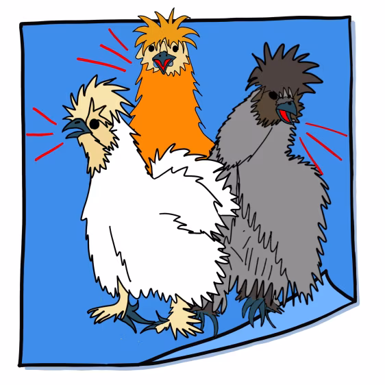 Tekening van drie zijdehoenders met pluizige veren in blauw kader, rood omlijnde gezichten, illustratie 'picture post-it 20 vol hoofd'